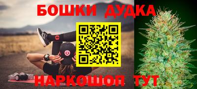 крисы Будённовск