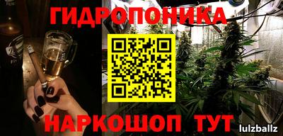 крисы Будённовск