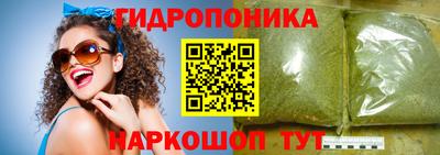 крисы Будённовск